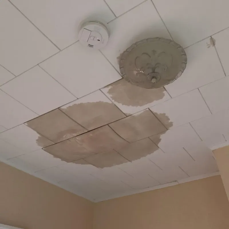 Ceiling Water Damage Repair in North Haven, CT