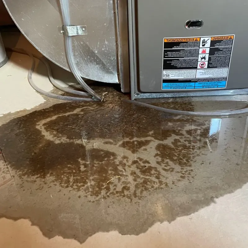 Pipe Burst and Leak Restoration in North Haven, CT